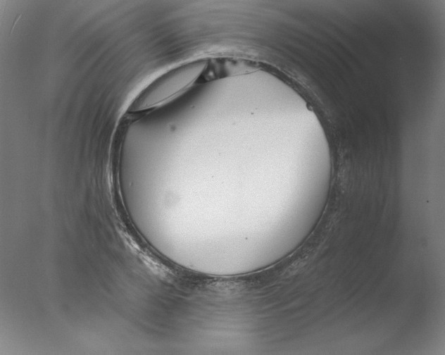 X0000076070888200610202011