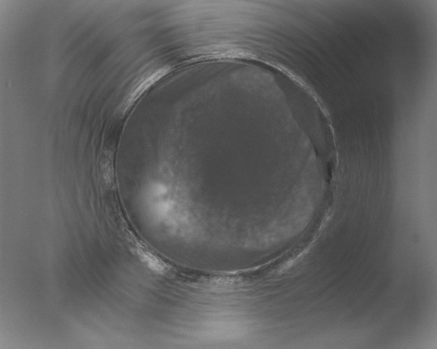 X0000076070889200610202011