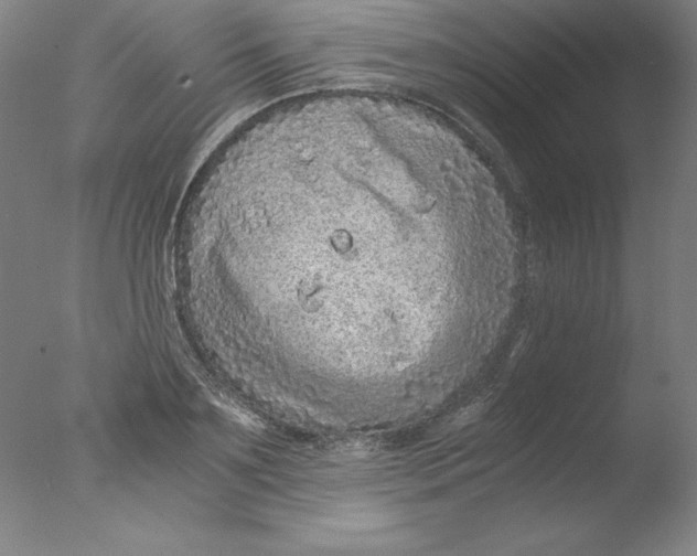 X0000076070891200610202011