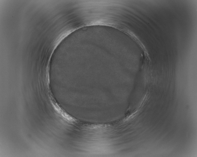 X0000076070892200610202011