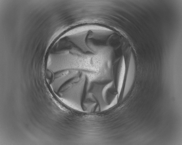 X0000076070894200610202011