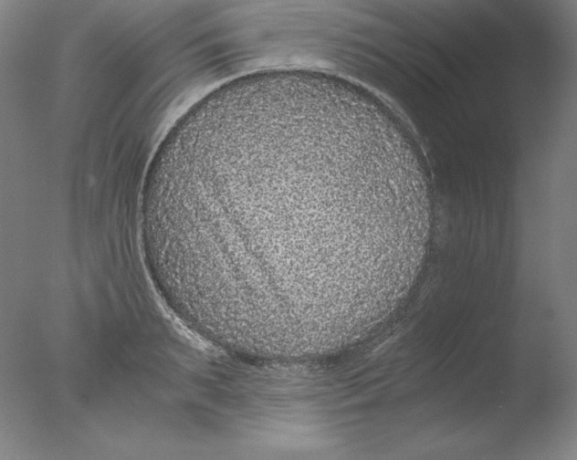 X0000076070895200610202011