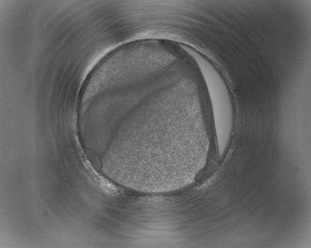 X0000076070896200610202011