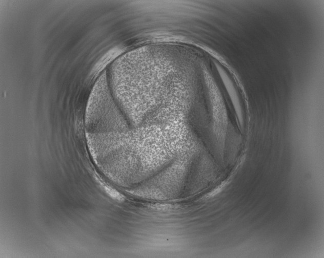 X0000076070897200610202011