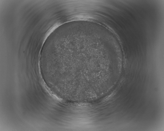 X0000076070899200610202011