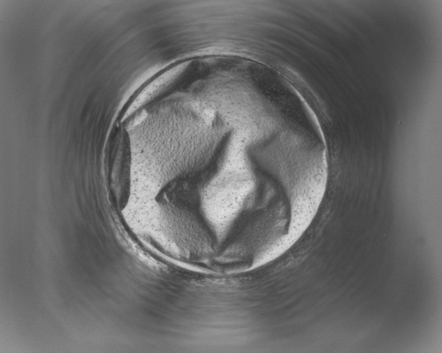 X0000076070900200610202011