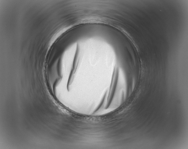 X0000076070901200610202011