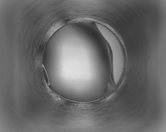 X0000076070905200610202011