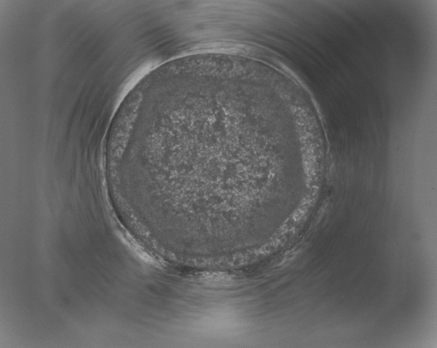 X0000076070907200610202011