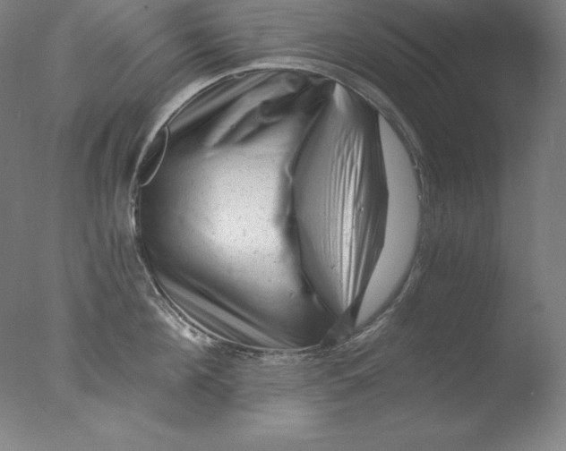 X0000076070908200610202011