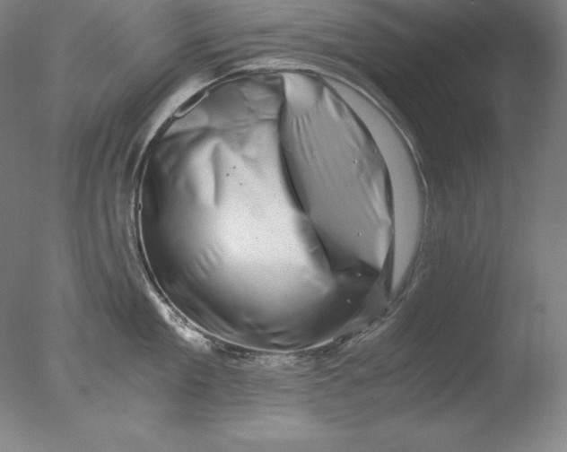 X0000076070909200610202011