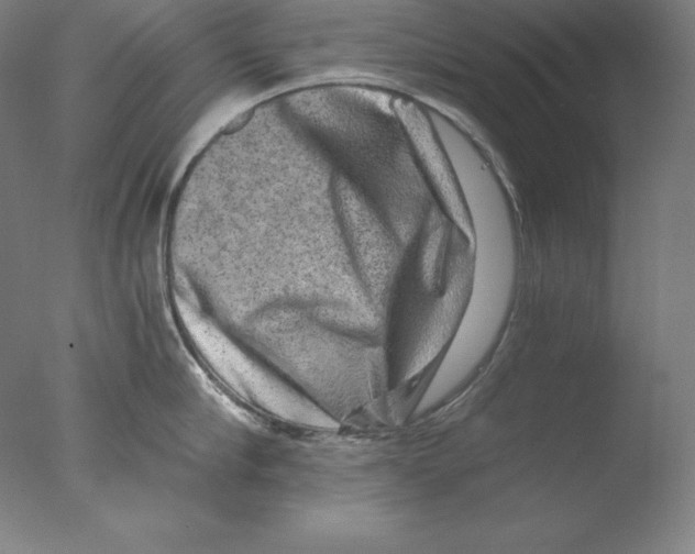 X0000076070910200610202011