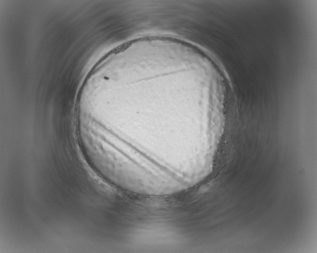 X0000076070911200610202011