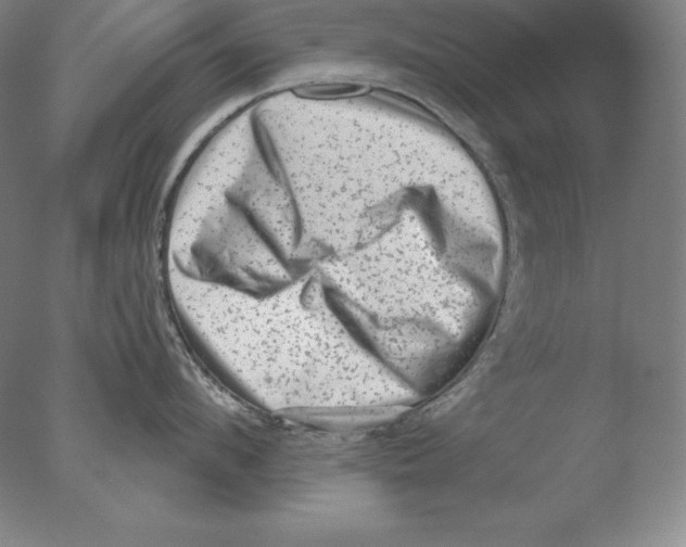 X0000076070912200610202011