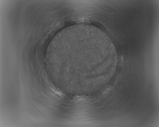 X0000076070913200610202010