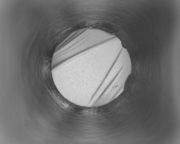 X0000076070914200610202010