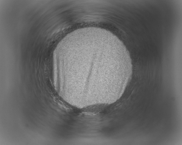 X0000076070917200610202010