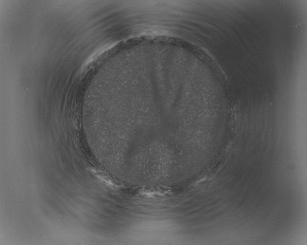 X0000076070919200610202010