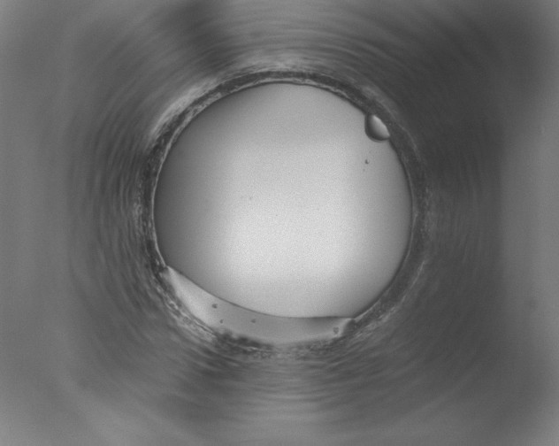 X0000076070922200610202010