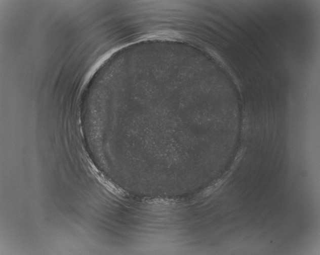 X0000076070923200610202010