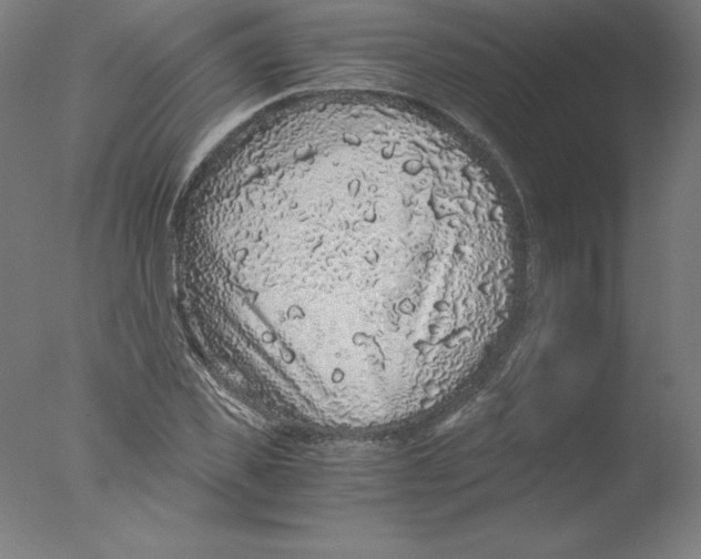 X0000076070925200610202010