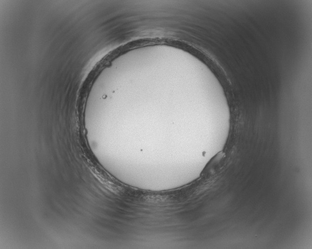 X0000076070927200610202010