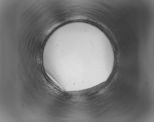 X0000076070929200610202010