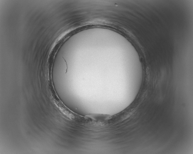 X0000076070931200610202010