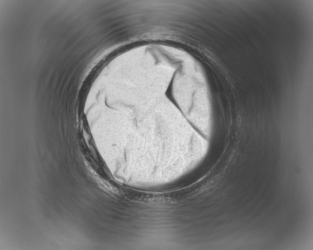 X0000076070934200610202010