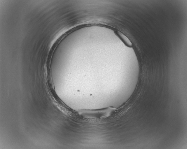 X0000076070936200610202010