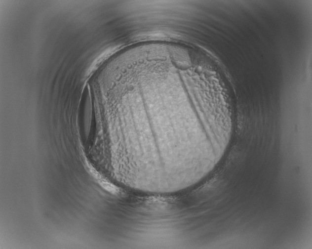 X0000076070938200610202010