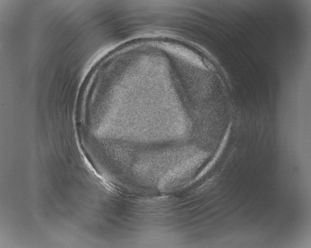 X0000076070943200610202010