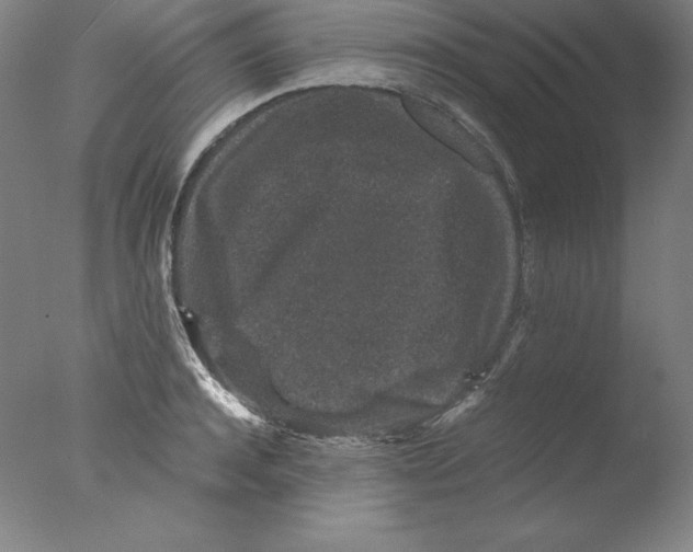 X0000076070944200610202010