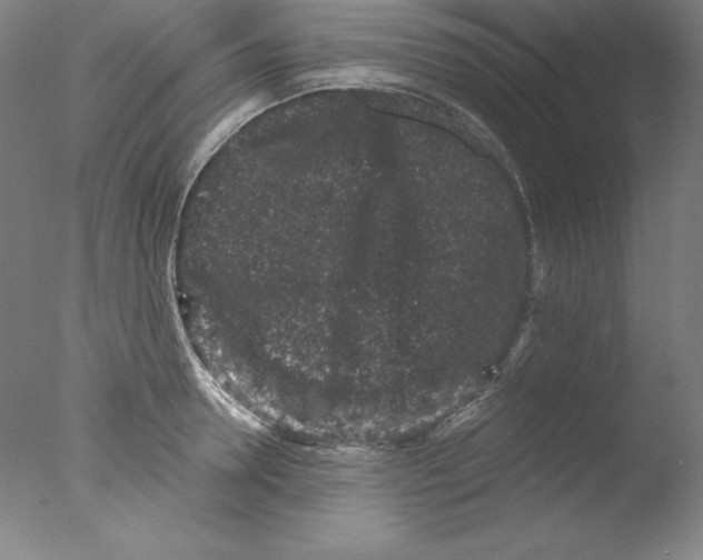 X0000076070946200610202010