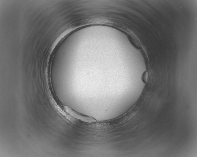 X0000076070947200610202010