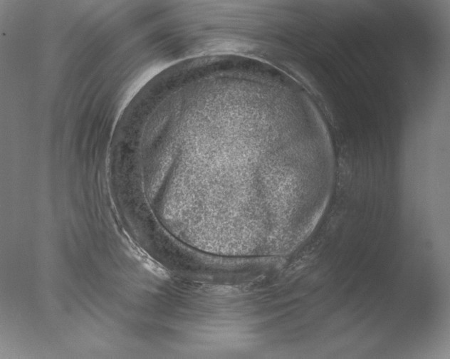 X0000076070948200610202010