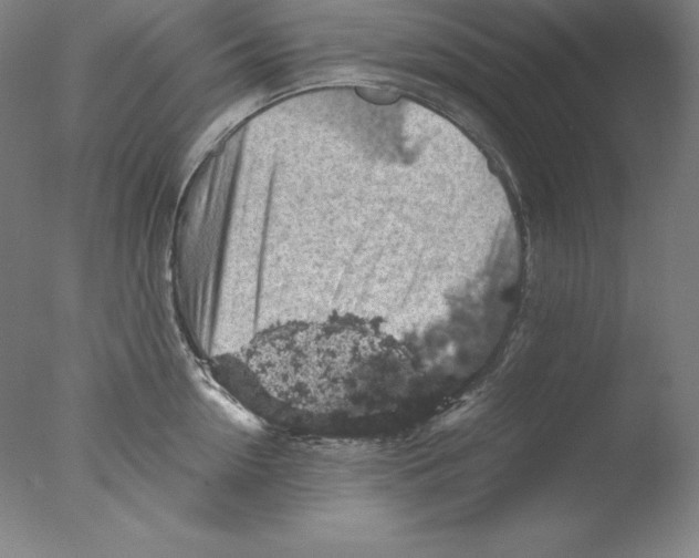 X0000076070954200610202011