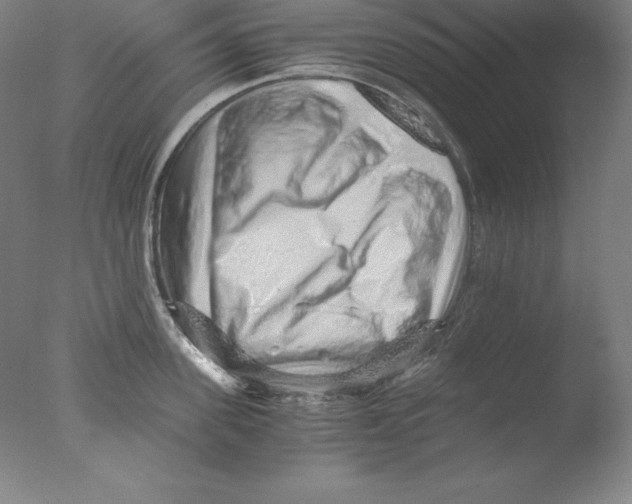 X0000076070955200610202011