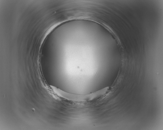 X0000076070956200610202011