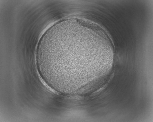 X0000076070957200610202011