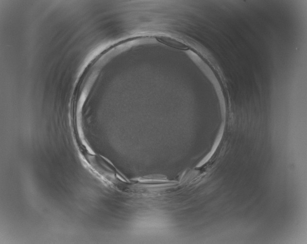 X0000076070958200610202011