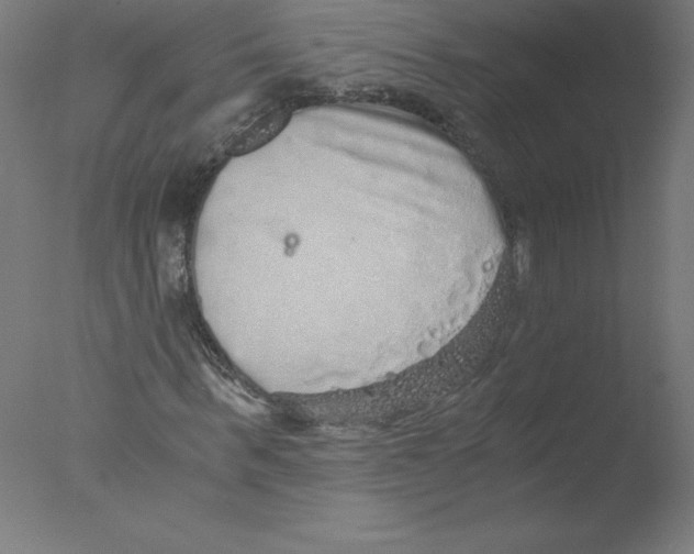 X0000076070963200610202010