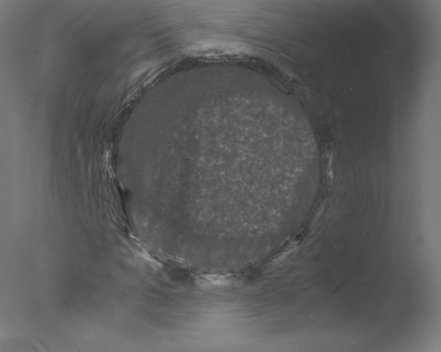 X0000076070965200610202010