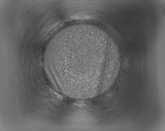 X0000076070966200610202010