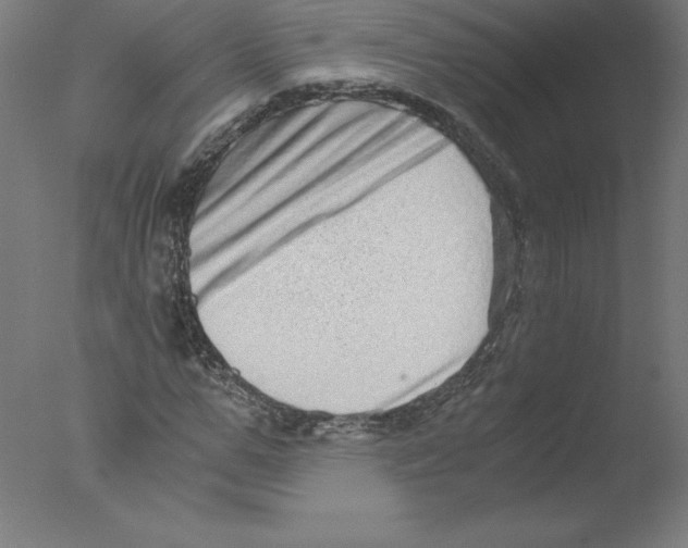 X0000076070967200610202010