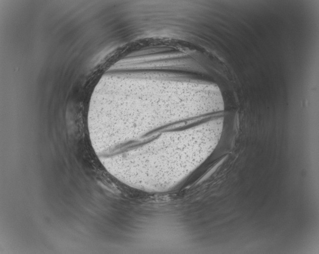 X0000076070968200610202010