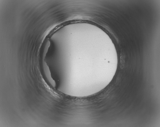 X0000076070972200610202010