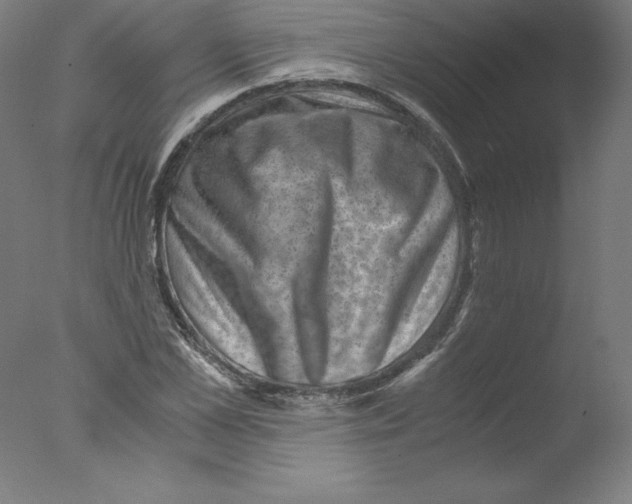 X0000076070973200610202010