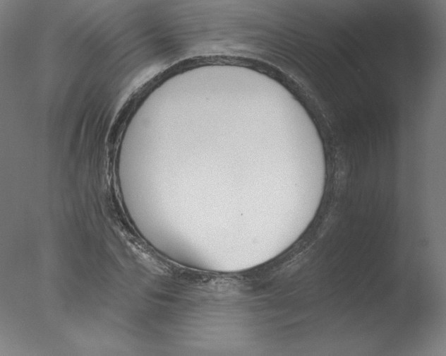 X0000076070974200610202010