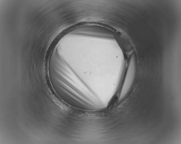 X0000076070976200610202010